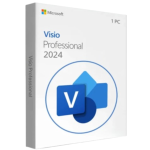 Microsoft Visio Professional 2024