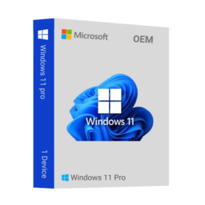 Windows 11 Pro OEM Key